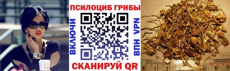 Галлюциногенные грибы Psilocybe Харовск